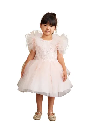 Girls Mesh Sleeve Dress with Beaded Lace Overlay Bodice and Layered Skirt, Sizes 6 Months-12