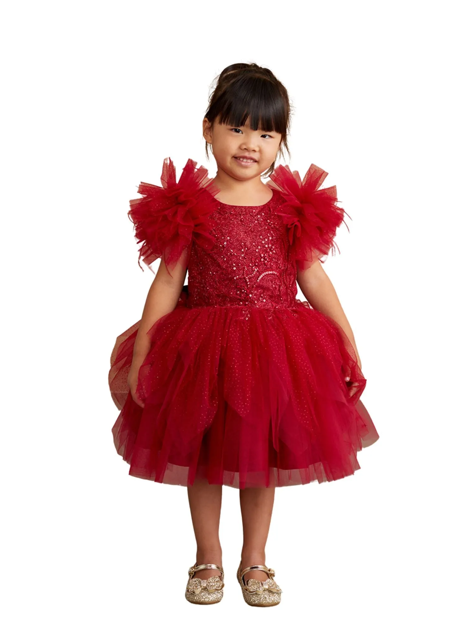 Girls Mesh Sleeve Dress with Beaded Lace Overlay Bodice and Layered Skirt, Sizes 6 Months-12