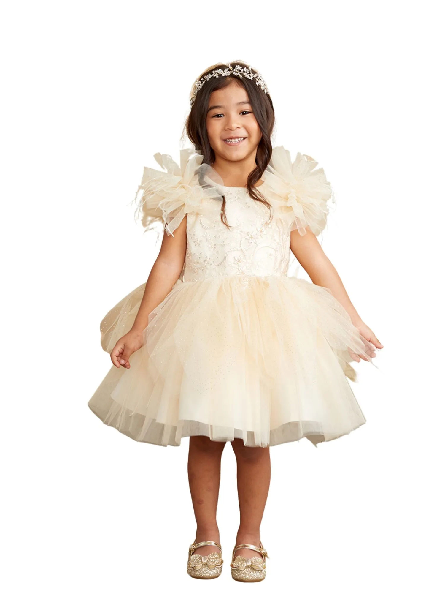 Girls Mesh Sleeve Dress with Beaded Lace Overlay Bodice and Layered Skirt, Sizes 6 Months-12